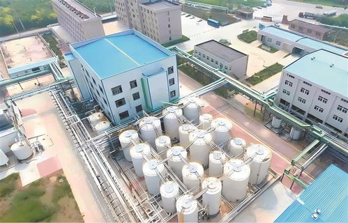 高青 以工業(yè)技改驅(qū)動(dòng)引擎，加速企業(yè)轉(zhuǎn)型升級(jí)與高質(zhì)量發(fā)展