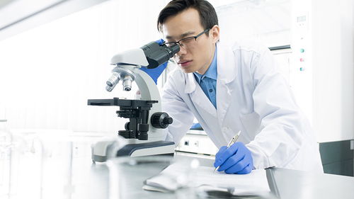 玩具檢測(cè)認(rèn)證 構(gòu)筑安全防線，驅(qū)動(dòng)行業(yè)高質(zhì)量發(fā)展